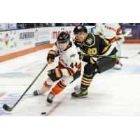 Fort Wayne Komets' Marc-Antoine PÃ‰pin And Wheeling Nailers' Justin Addamo In Action