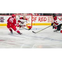 Liam Finlay of the Allen Americans (left) vs. the Rapid City Rush