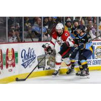 Cincinnati Cyclones' Justin Vaive versus Toledo Walleye's Tommy Parran