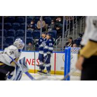 Worcester Railers celebrate against the Newfoundland Growlers