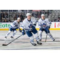 Toronto Marlies' Mikko Kokkonen, Logan Shaw And Joey Anderson On The Ice