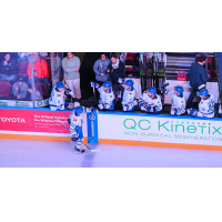 Wichita Thunder forward Michal Stinil receives high fives from the bench