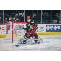 Grand Rapids Griffins' Alex Chiasson In Action