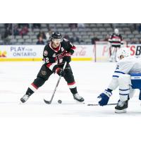 Belleville Senators' Cole Cassels in action