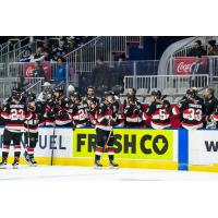 Belleville Senators celebrate win over Marlies