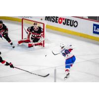 Laval Rocket's Anthony Richard in action against Belleville Senators' Mads Sogaard