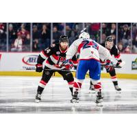 Belleville Senators' Rourke Chartier faces off against Lava Rocket's Alex Belzile