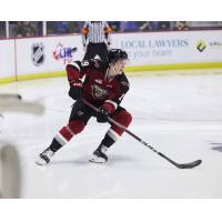 Vancouver Giants left wing Samuel Honzek