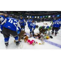 Saint John Sea Dogs collect stuffed animals