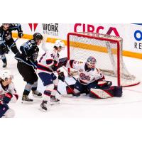 Regina Pats defenceman Stanislav Svozil (44)