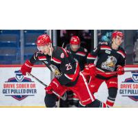 Grand Rapids Griffins forward Elmer Soderblom