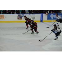 Rapid City Rush's Kenton Helgesen And Alex Aleardi With Idaho Steelheads' Ryan Dmowski And 18 A.j. White On The Ice