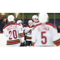 Tucson Roadrunners on game day