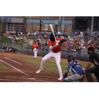 Elly De La Cruz at bat for the Dayton Dragons