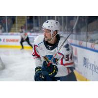 Springfield Thunderbirds forward Logan Brown