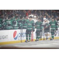 Texas Stars exchange congratulations along the bench against the Chicago Wolves