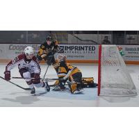 Peterborough Petes'  J.R. Avon battles Hamilton Bulldogs' Logan Morrison and Gavin White