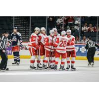 Grand Rapids Griffins on game day