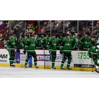 Texas Stars celebrate win