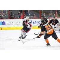 Cincinnati Cyclones' Justin Vaive Takes On Fort Wayne Komets' Tye Felhaber