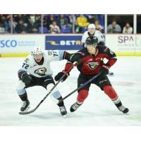 Portland Winterhawks' Marcus Nguyen battles Vancouver Giants' Jaden Lipinski