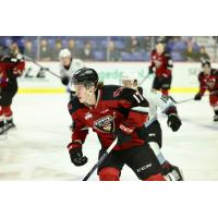 Vancouver Giants' Matthew Edwards in action