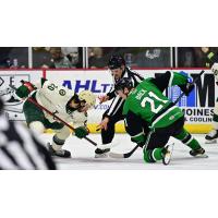 Iowa Wild's Mike O'Leary and Texas Stars' Oskar Back in action