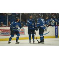 Jacksonville Icemen's Ben Hawerchuk, Garret Cockerill And Easton Brodzinski