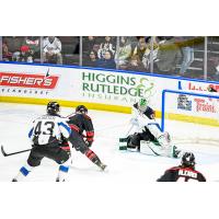 IDAHO STEELHEADS' MATT REGISTER in action