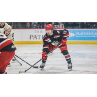 Grand Rapids Griffins forward Gordie Green