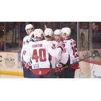 South Carolina Stingrays gather after a goal