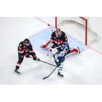 Belleville Senators goaltender Mads Søgaard and defenceman Alex Breton vs. the Manitoba Moose