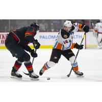 Forward Danny O'Regan with the San Diego Gulls