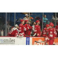 The Allen Americans on game night