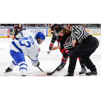 Wichita Thunder forward Quinn Preston faces off with the Rapid City Rush