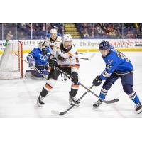 Lehigh Valley Phantoms' Cal O'Reilly battles Springfield Thunderbirds' Mitchell Hoelscher