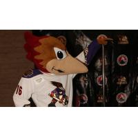 Tucson Roadrunners' Mascot Dusty and his Festivus Pole