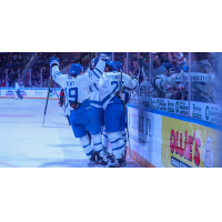 Wichita Thunder celebrate win