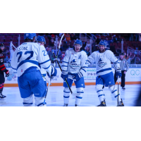 Wichita Thunder react after a goal