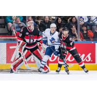 Belleville Senators goaltender Mads Sogaard vs. the Toronto Marlies