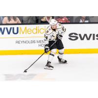 Wheeling Nailers defenseman Josh Maniscalco