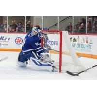 Toronto Marlies' Joseph Woll on game night