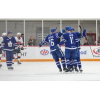 Toronto Marlies celebrate win