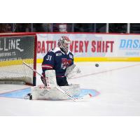 Goaltender Tom Aubrun with the Macon Mayhem