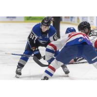 Saint John Sea Dogs forward Cam MacDonald