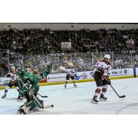 A large crowd watches the Texas Stars