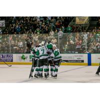 Texas Stars celebrate win