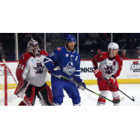 Wichita Thunder's Jay Dickman and Allen Americans' Kevin Mandolese and Kris Myllari