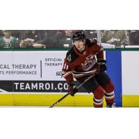 Tucson Roadrunners' Reece Vitelli In Action