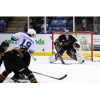 Victoria Royals' Brayden Schuurman takes a shot